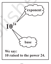 NCERT Solutions for Class 8 Maths, Class 8 Maths NCERT Solutions, ncert solutions for class 8 maths chapter