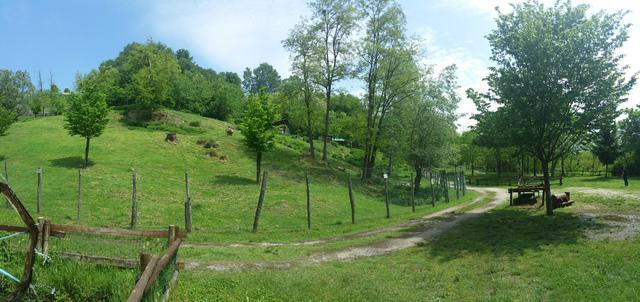 Ordinanza: Regolamentazione Parco La Rocca - Comune di Valfenera