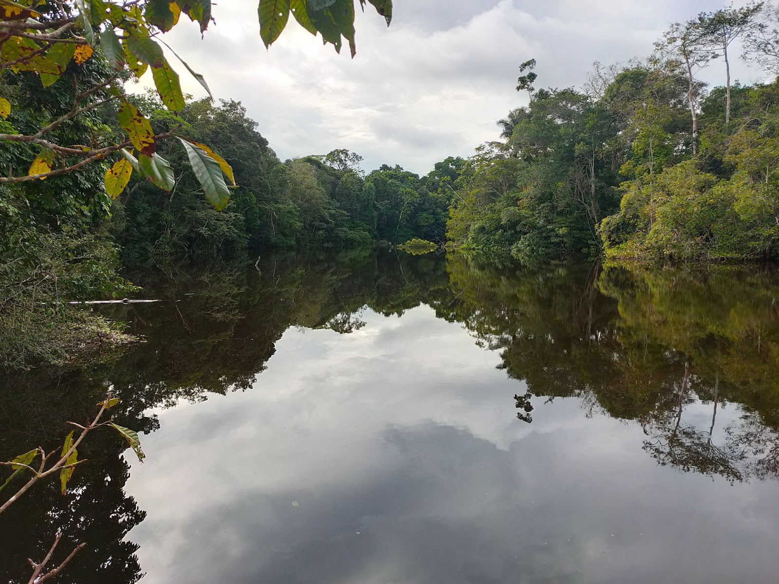 My 4-day experience in the Amazon Jungle | Ecuatraveling