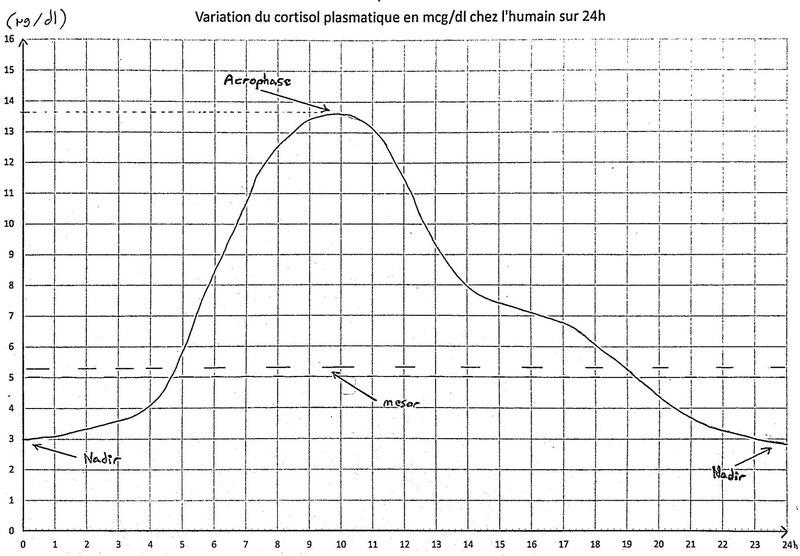 File:Variation du cycle du cortisol.pdf