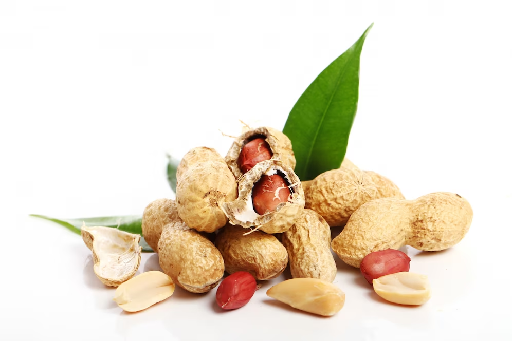 Fresh peanuts. Peanuts nutrition facts