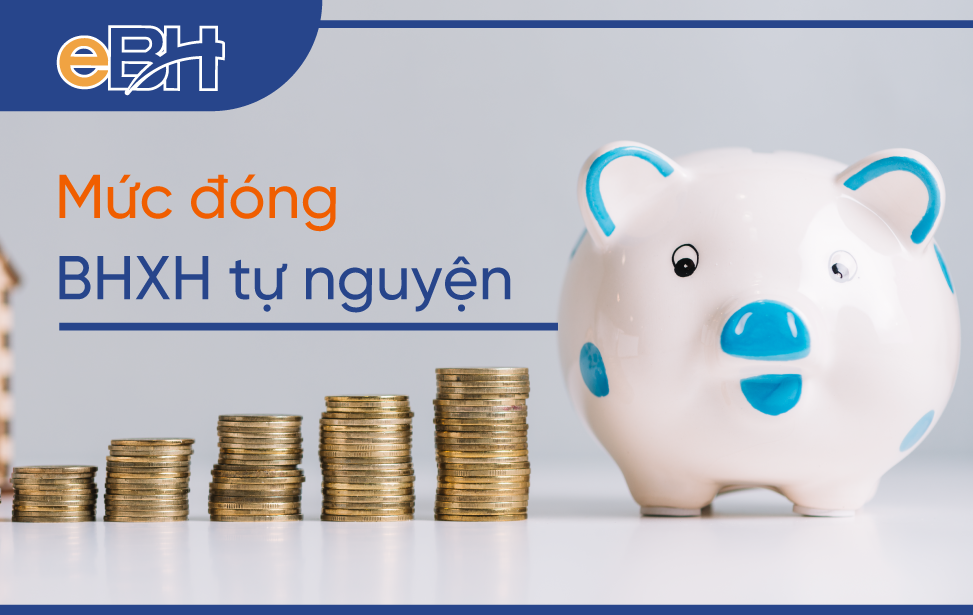 Mức đóng dành cho đối tượng tham gia bảo hiểm tự nguyện như thế nào?