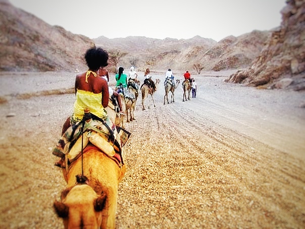 camel trek egypt