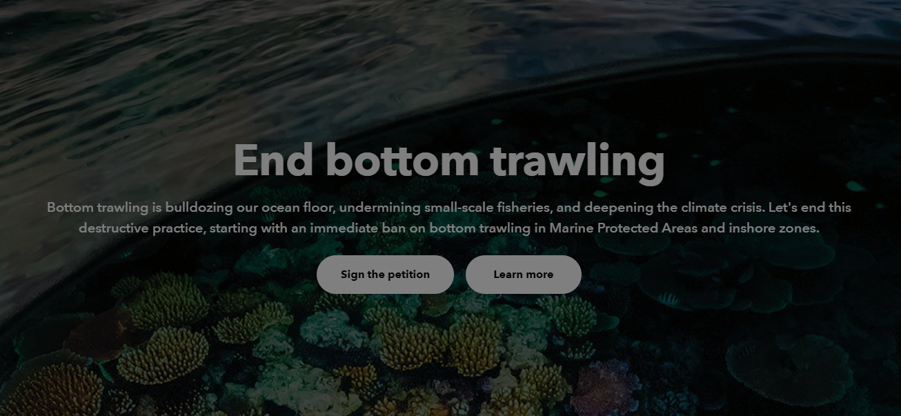 End bottom trawling by Patagonia