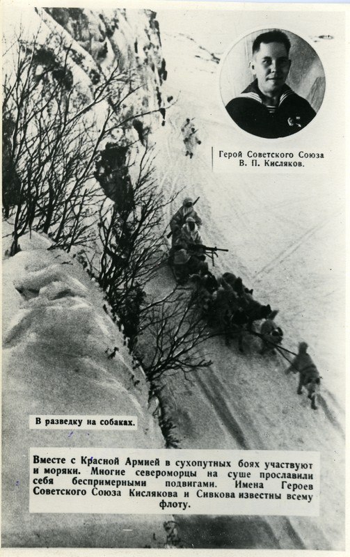 Морская пехота в разведке на собаках. Зима 1942
