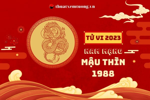 tu-vi-tuoi-mau-thin-nam-2023-nam-mang-1988