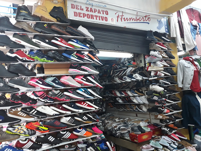 Zapatos Deportivos