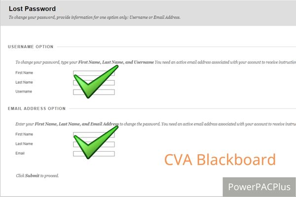 Fill in your user ID option and your email address option, then tap “submit” button to reset cva blackboard password