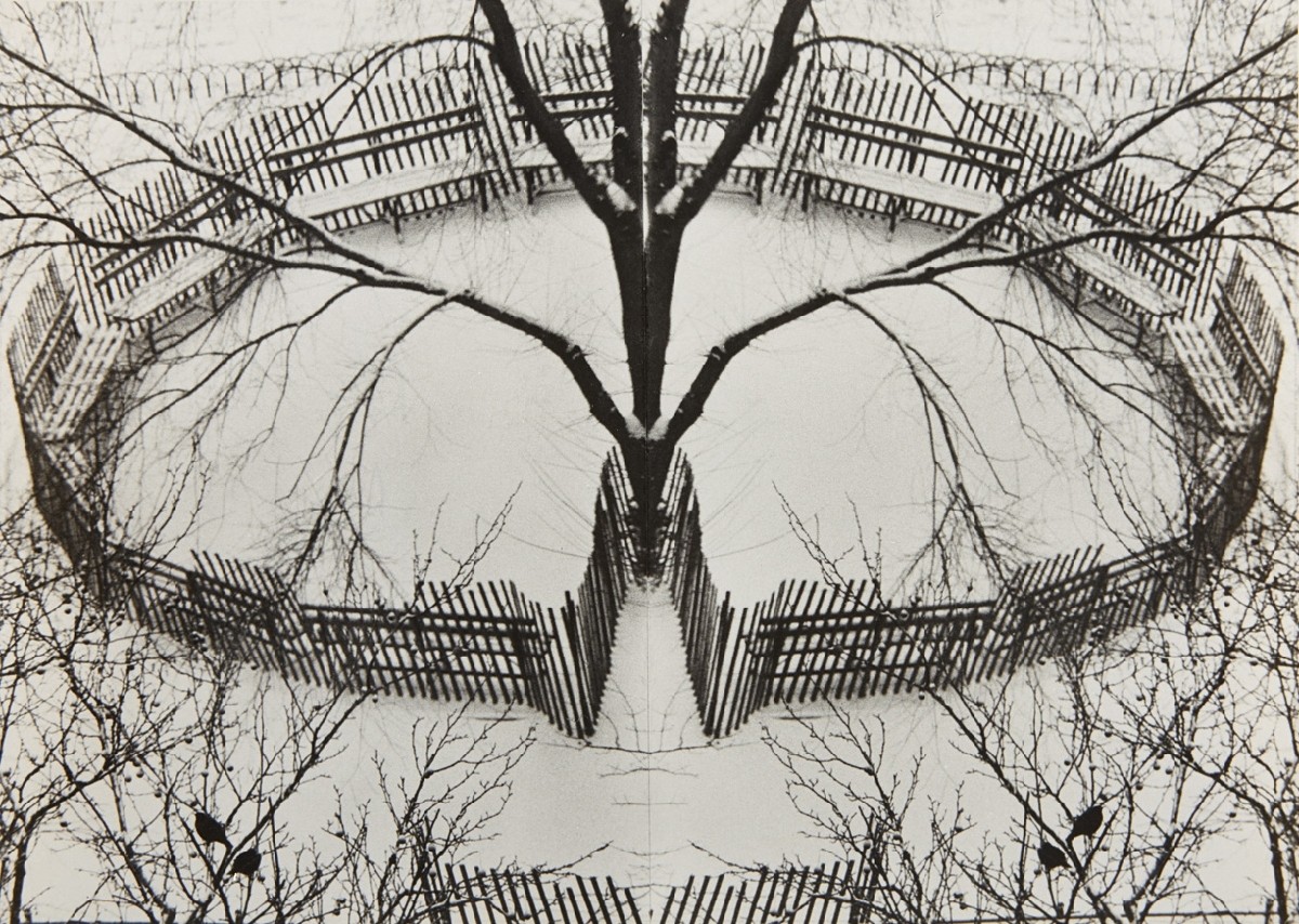 Image result for andré kertész
