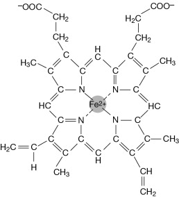 A metalloprotein that has conjugated iron