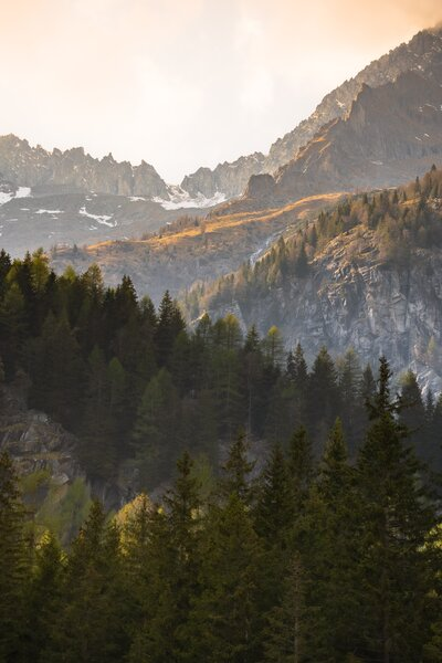 Overlooking the mountains and forest on a beautiful sunny day