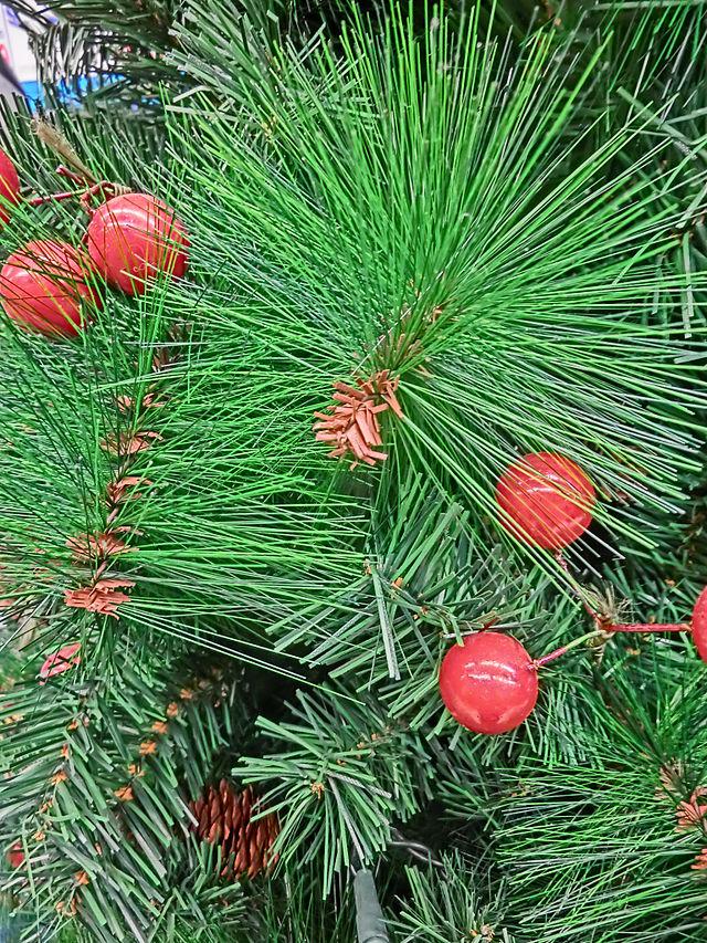 Are Real or Fake Christmas Trees Better for the Environment? • The National  Wildlife Federation Blog