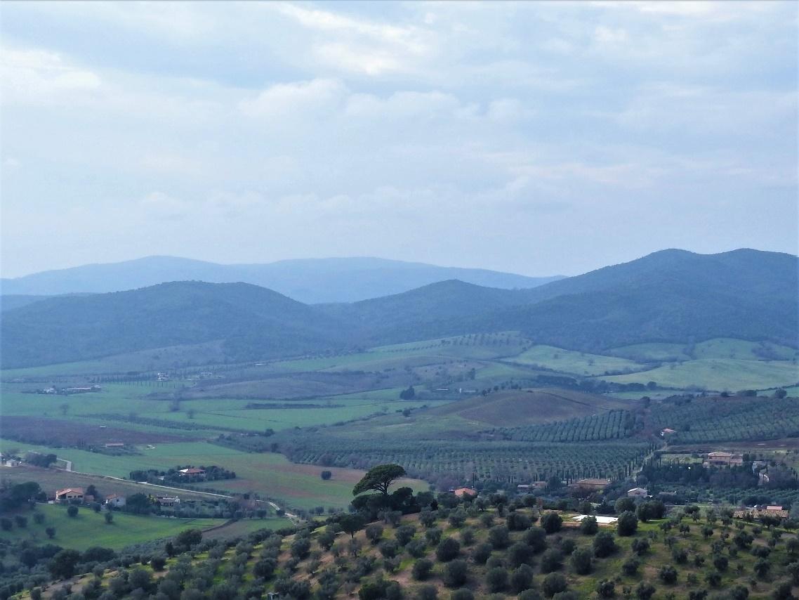 A large mountain in the background

Description generated with very high confidence