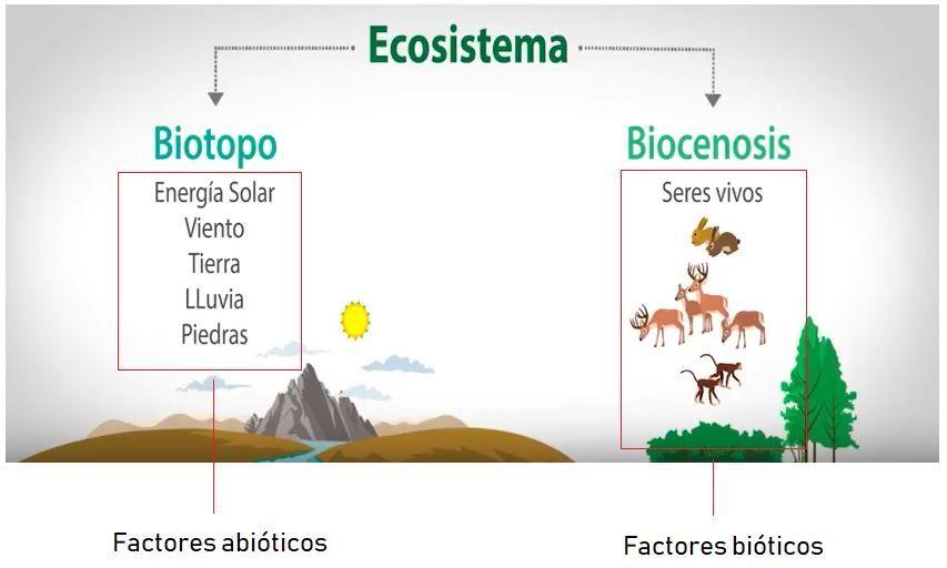 factores bióticos y abióticos (con imágenes) | Factores bioticos y ...
