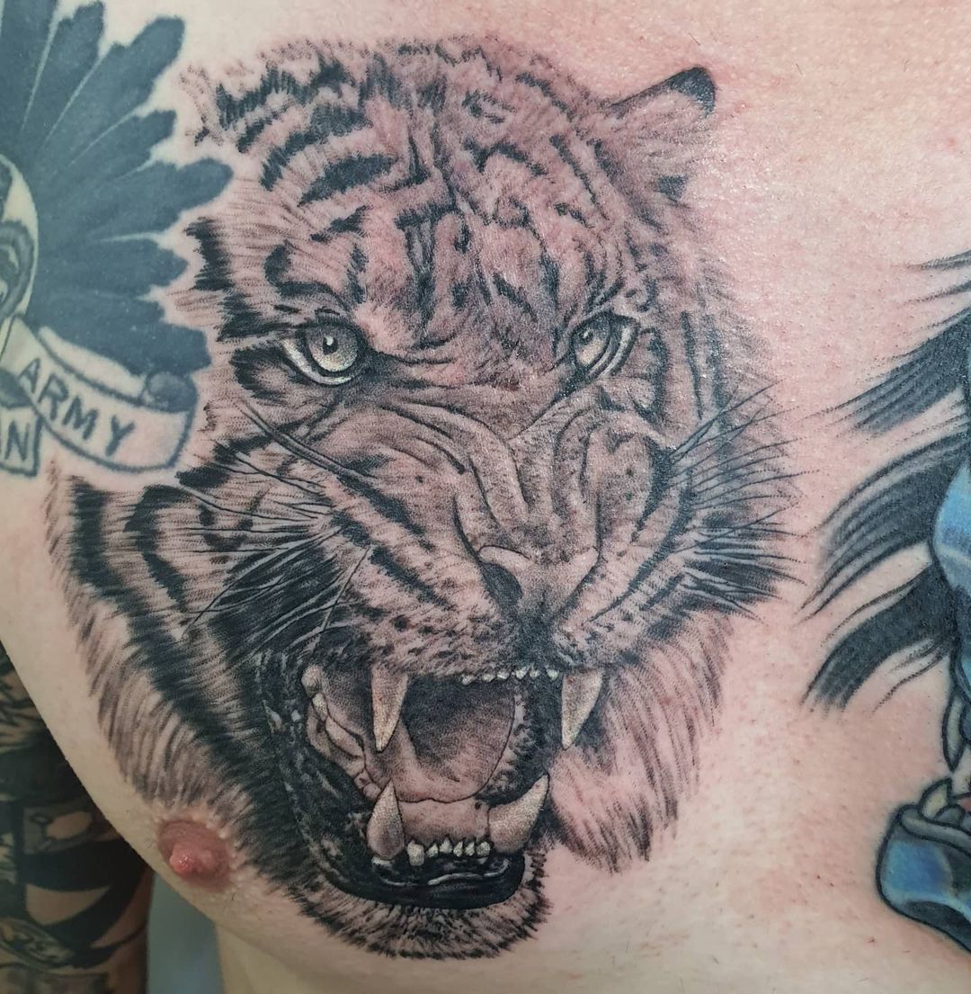 Black Shaded Roaring Tiger Chest Tattoo 