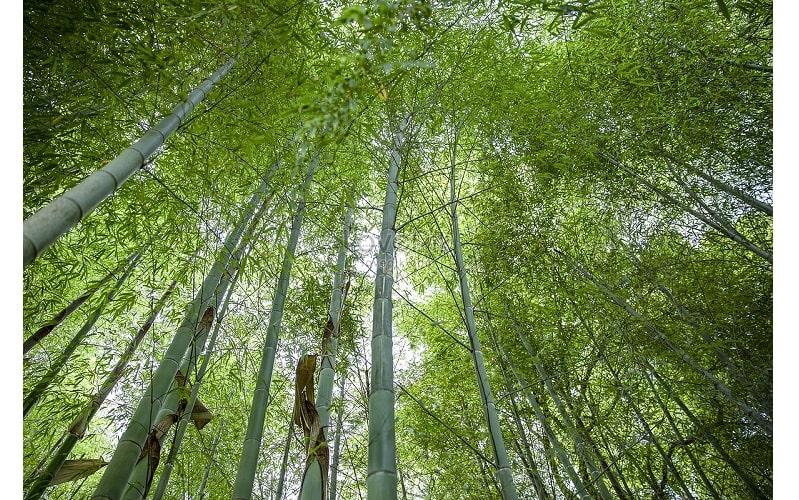 Vì lợi ích chung, Việt Nam luôn muốn bắt tay với người Mỹ (Phạm Minh Chính)