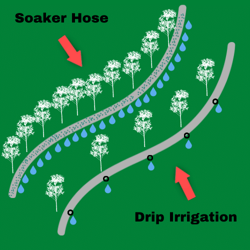 drip irrigation vs. soaker hose