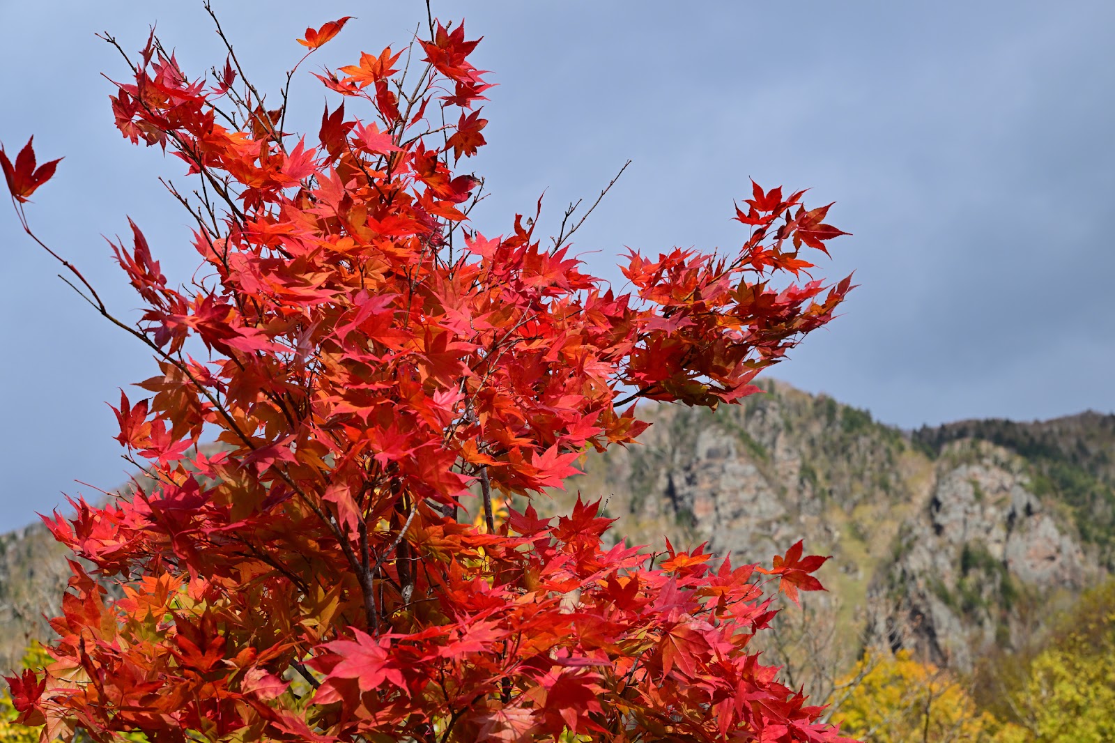 層雲峡紅葉谷