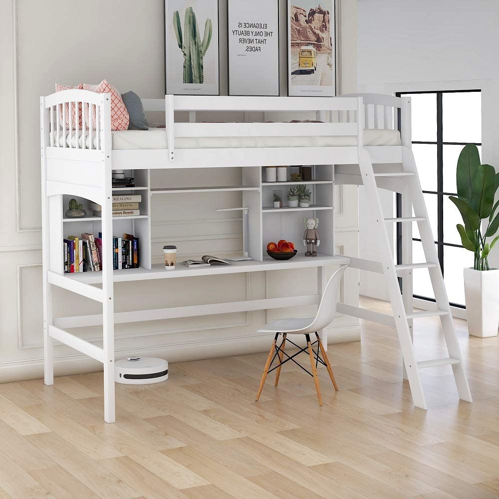 Loft bunk beds cost similar to standard bunk beds (from $150 to $3500)
