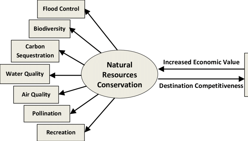 C:\Users\Ebube\Desktop\DTW TUTORIALS\DTW BLOG PHYSICS\Figure2-Relationship-Between-Ecotourism-Natural-Resource-Conservation-Source-Boley.png