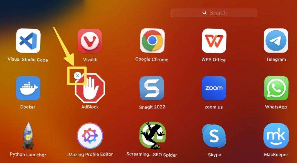 click the x icon to delete the app in launchpad