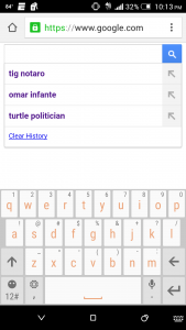 Any guesses what results "turtle politician" returned?