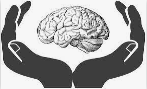 An Introduction To Neuro-Psychiatry: The World Of Mental Illness