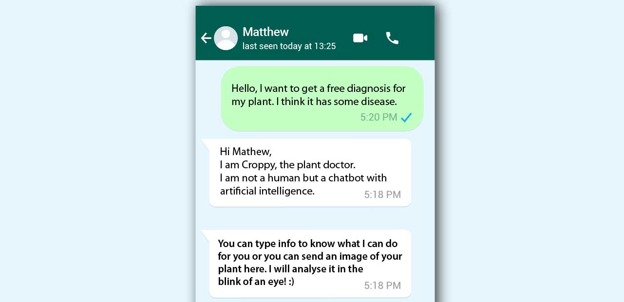WhatsApp chatbot solution | WhatsApp chat