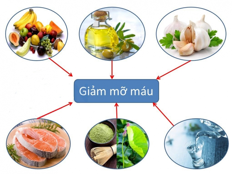 thực phẩm tốt cho người mỡ máu cao