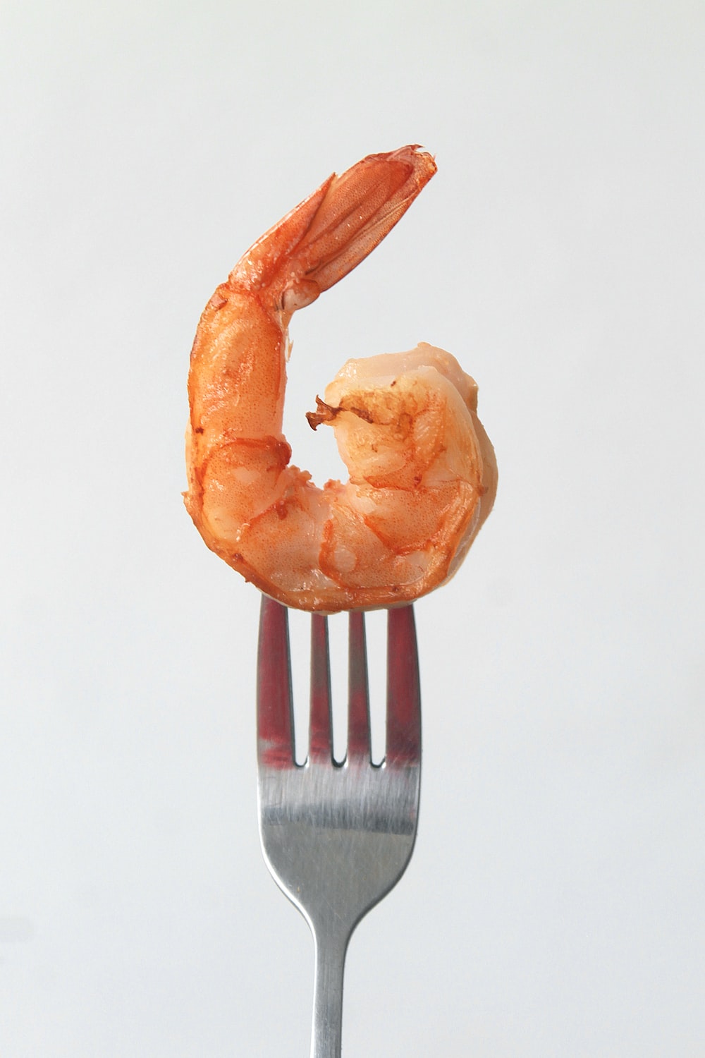 1000+ Shrimp Pictures | Download Free Images on Unsplash