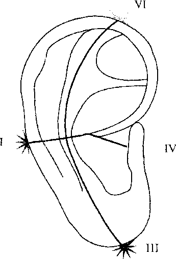 https://lh5.googleusercontent.com/doNt2KMA65RdCiR88_6htVc25Qu-TMWFfDuFVci-grA6iaDBMLfE1IubERo7MfjvYhPiYGPhM-DHUKGk0E7H-o_uXRDHAwkas4jgntWg5ZeKTpFf_6ol7JchxkgXGkglx7-DN9VTDP0bkAKsm8zp9HSj9VLiGhvZtKtFD84q8AEyLb4GU8-UOQjfZNIDi1o6gAs