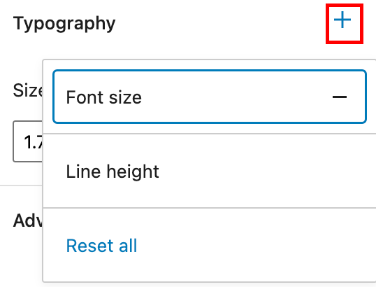 How to access all Typography options