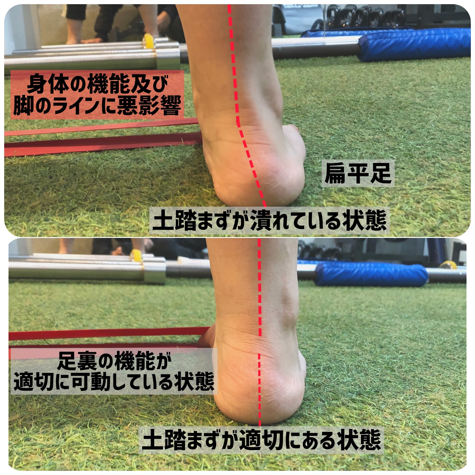 足裏のセルフケアでボディラインを変える 渋谷のパーソナルトレーニングジム 都度払いのコンパス 南平台 桜丘