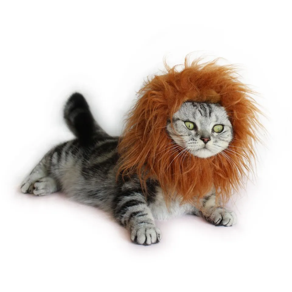 lion cat halloween costume