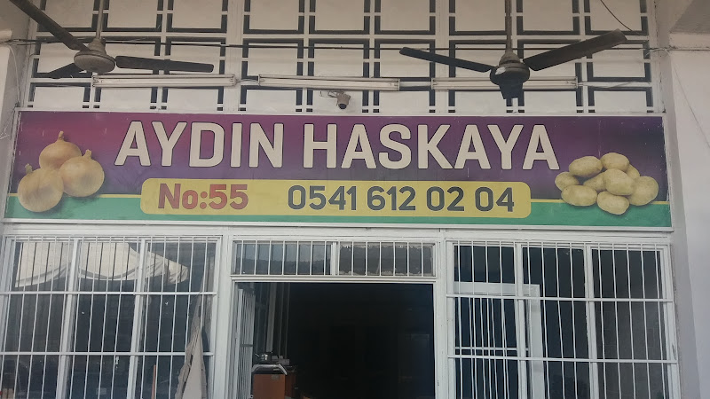 Aydın Haskaya