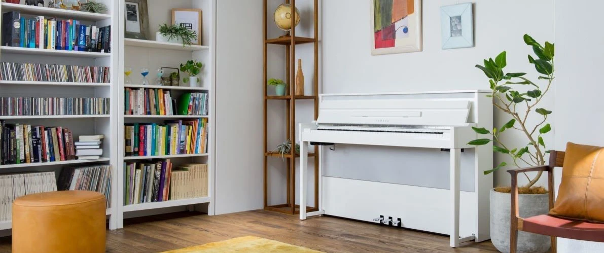Sửa organ tại nhà