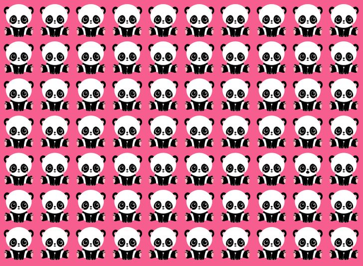 Which Panda is the Odd One Out? spot the mistake