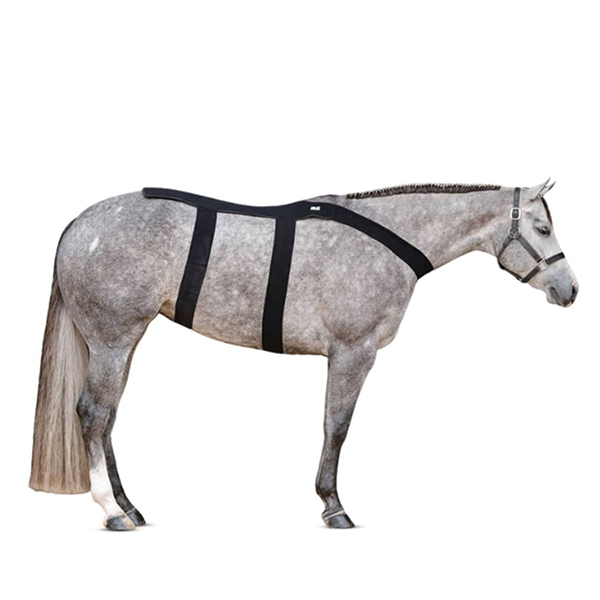 Ice Horse Back Blanket for western equestrian Gifts from FarmVet