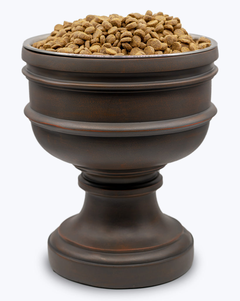Large Summit elevated dog bowl with food