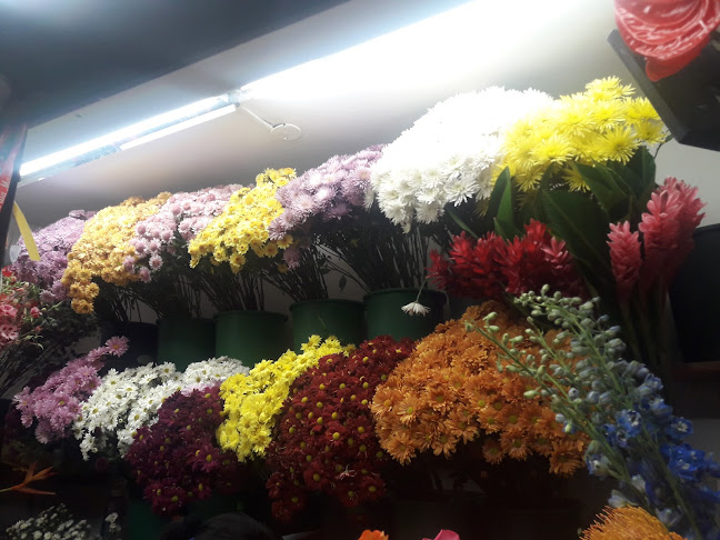 Opiniones de Floreria Las Dalias en Santiago de Surco - Floristería