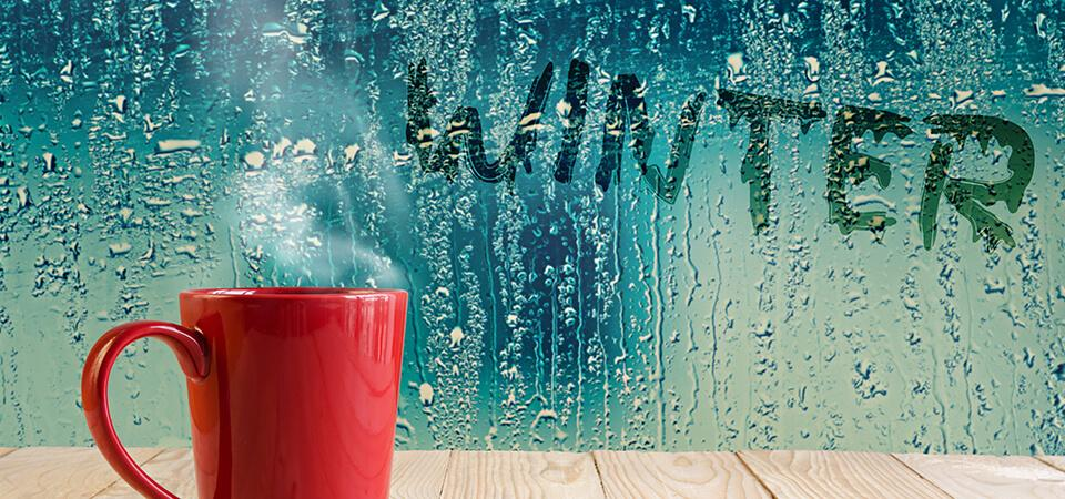 Condensation inside windows: how to regulate the humidity inside your home  - Vaillancourt
