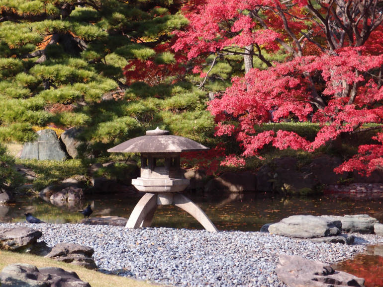 Autumn leaves in Tokyo