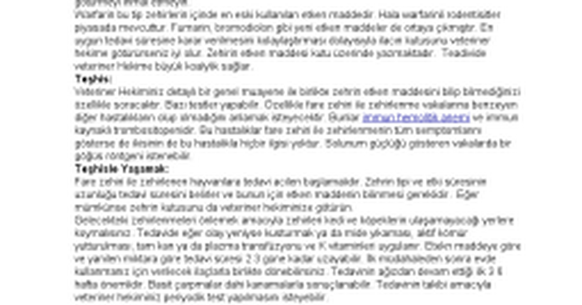 Fare Zehiri ile Zehirlenme Google Docs
