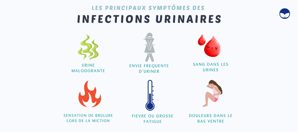 Infections urinaires : quels en sont les symptômes et comment les ...
