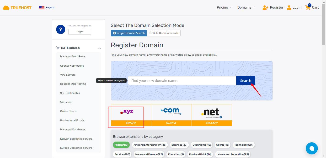 choosing your domain name