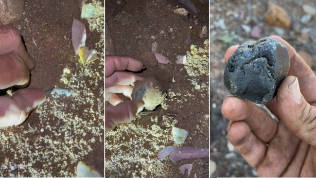 Matt filmed the epic discovery made in the Central Highlands of Queensland during a walk at night.