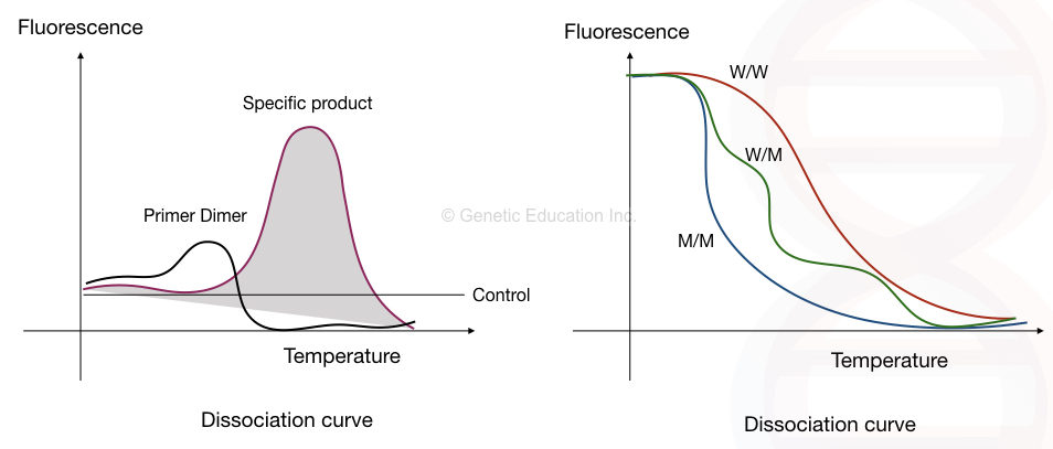 Hypothetical representation of two different types of dissociation curves.