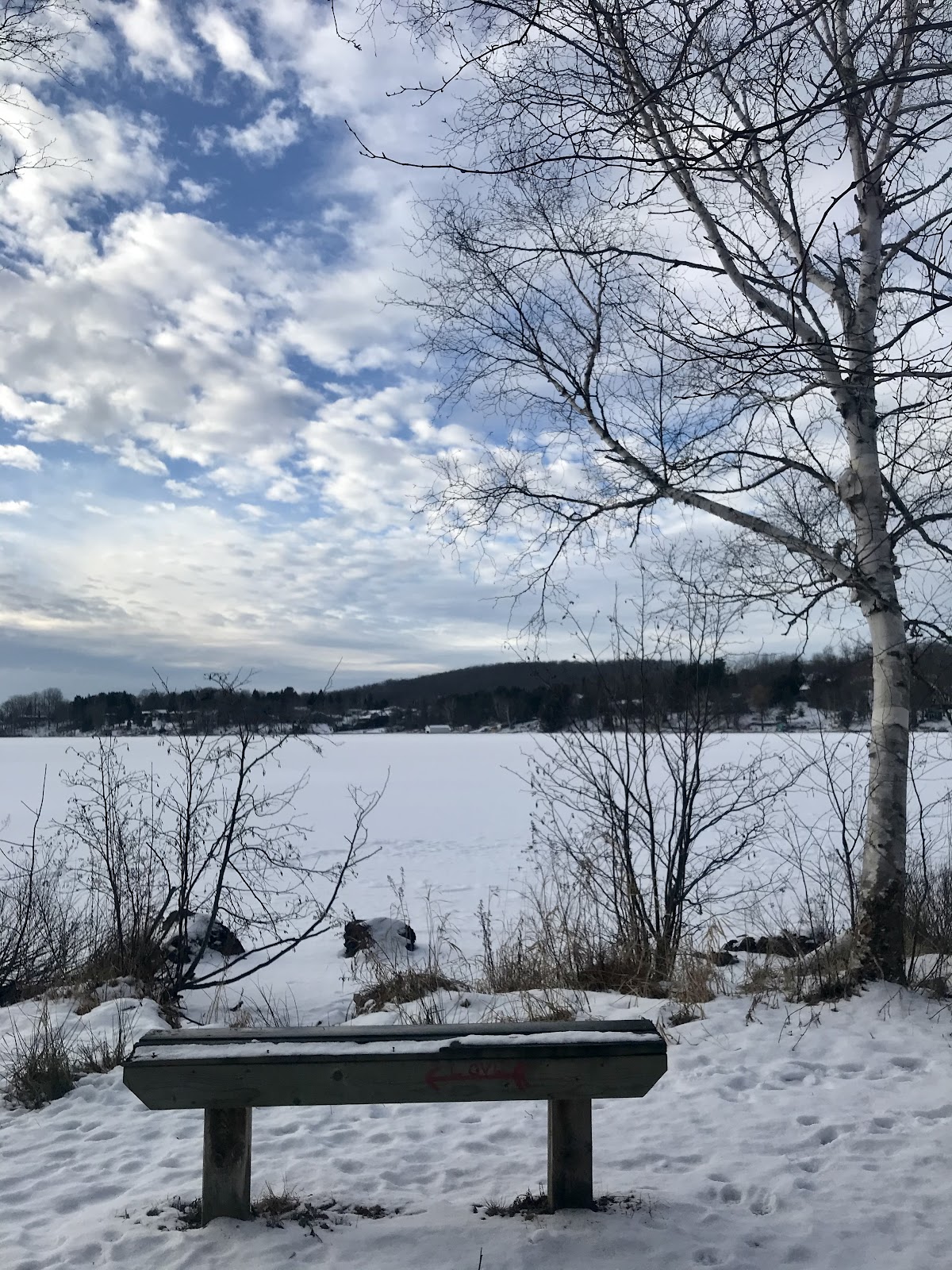 hunters bay trail