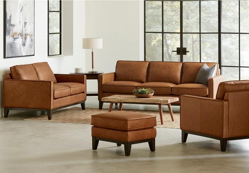Brown Leather Pet-Friendly Sofa Set