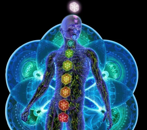 Exploring Chakras: Unveiling the Energetic Pathways of Transformation 